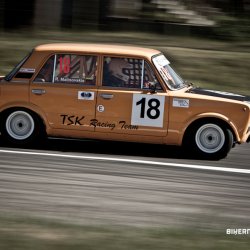 dzintara volga-5029